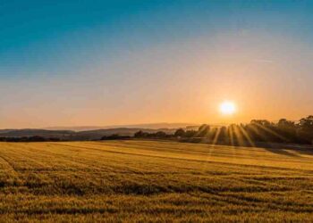 New Maithili Poem, Samtal Prakash, Maithili Poem, Bihar, Bihar news, Bihar Khabar, Bihar Hindi news, Bihar lettest news, Bihar khabar, Bihar hindi news,