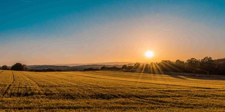 New Maithili Poem, Samtal Prakash, Maithili Poem, Bihar, Bihar news, Bihar Khabar, Bihar Hindi news, Bihar lettest news, Bihar khabar, Bihar hindi news,